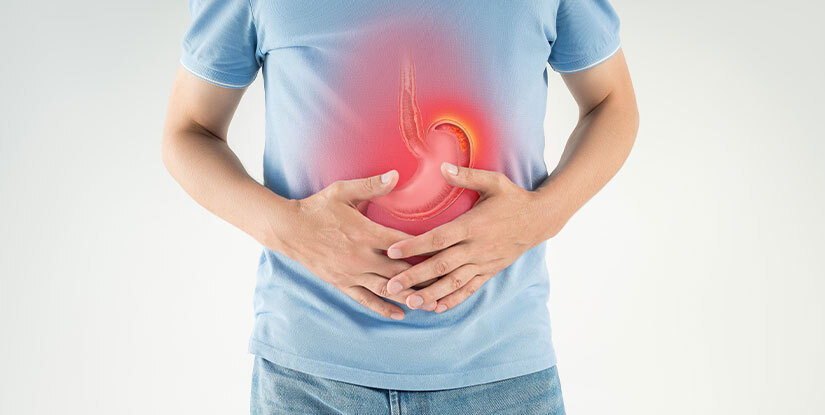 Liver-Gut Connection – How Gut Health Affects the Liver