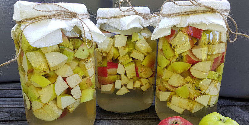 DIY ACV Gummies: The Benefits & Process of Homemade Apple Cider Vinegar Gummies"