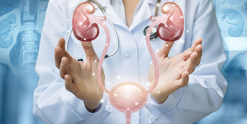 Prostate Health Myths Debunked – Expert Insights & Facts