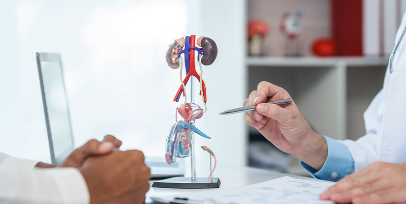 Prostate Health and Sexual Function in Men’s Wellness