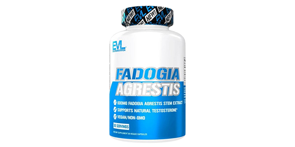 Fadogia Agrestis Bottle – Natural Testosterone Support Supplement